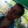 ness-EE