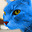 Dmitriy