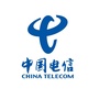 中国电信国际