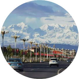 城市生态日记